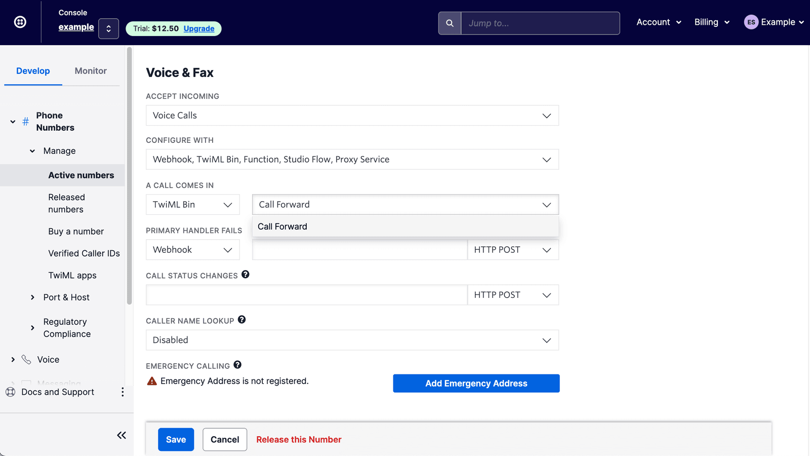 Manage phone numbers to assign TwiML Bin for incoming call handling with call forwarding options.