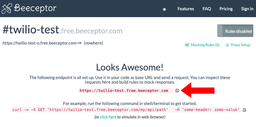 Your endpoint in Beeceptor.