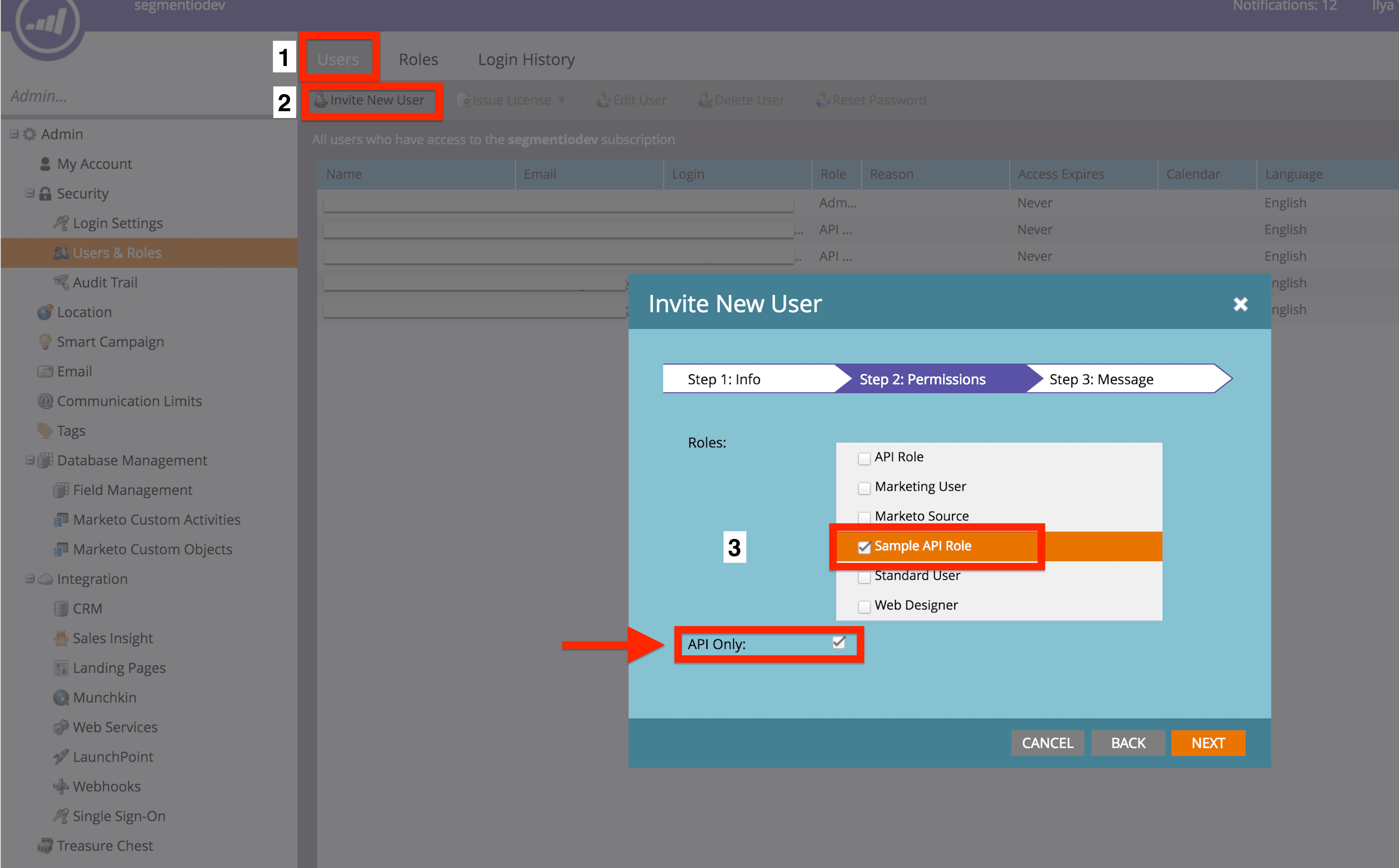 Invite New User popup in Marketo with 'Sample API Role' and 'API Only' selected.