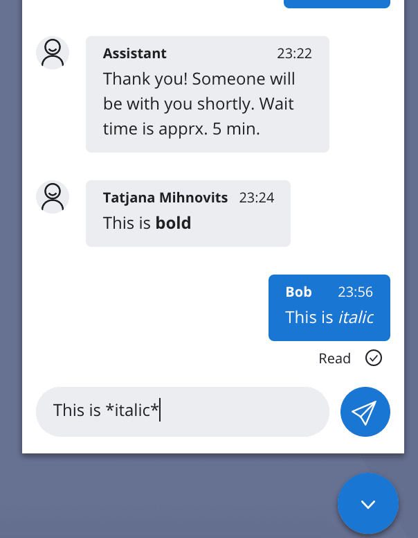 Chat interface showing markdown support with bold and italic text.