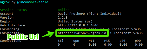 Ngrok Extensions for Visual Studio - running.