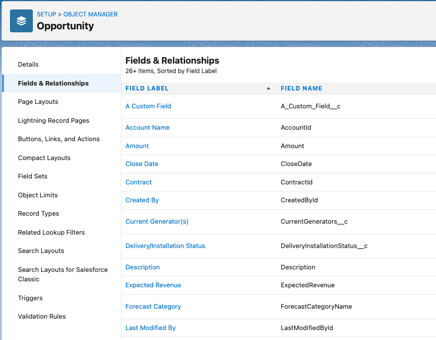 Salesforce fields and relationships list for Opportunity object, including Account Name and Amount.