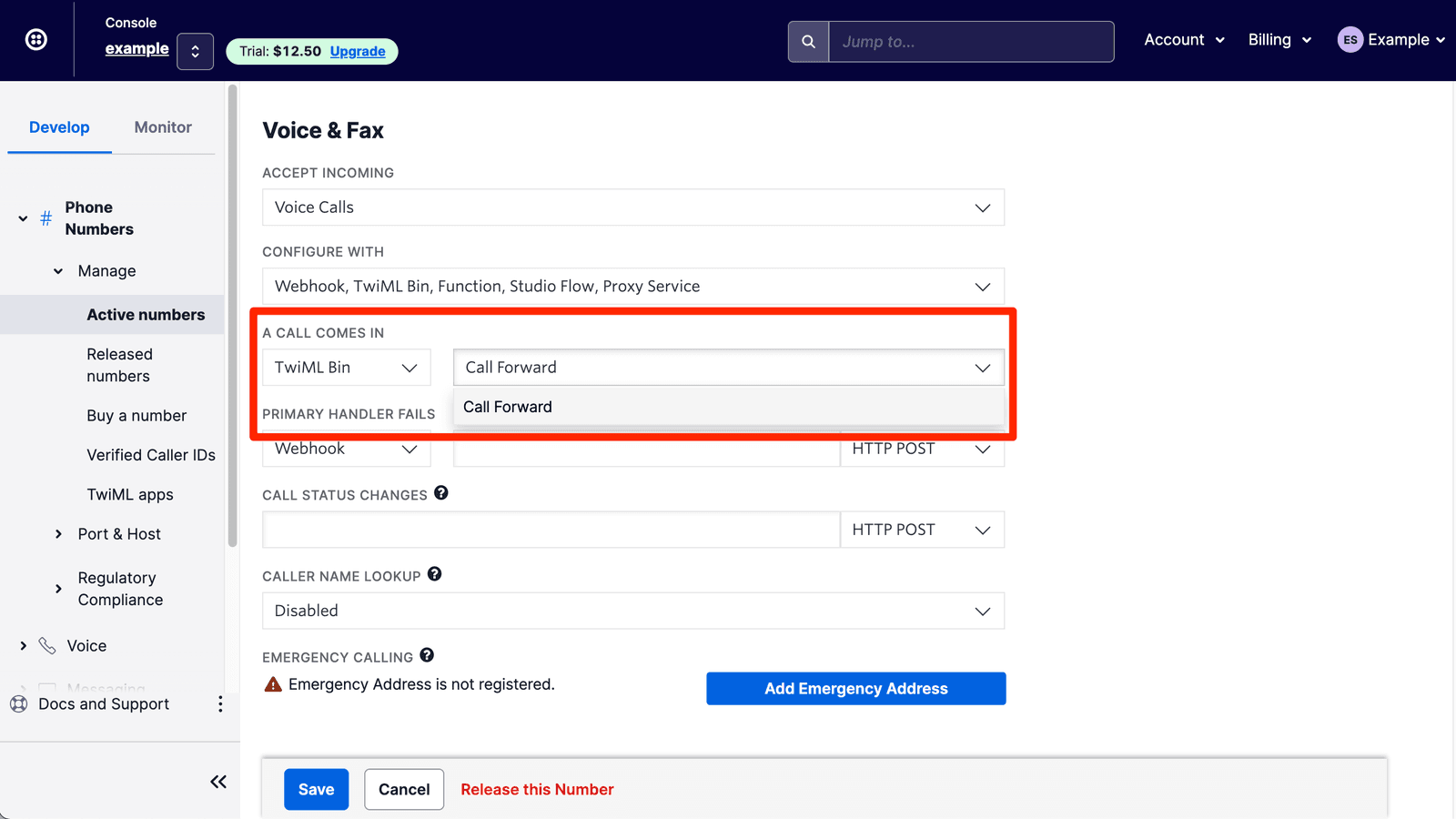 Voice and Fax settings with TwiML Bin and Call Forward options highlighted.