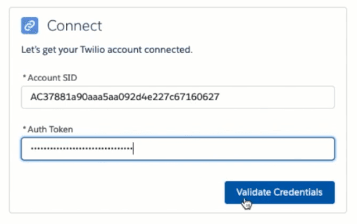 Twilio Config connect panel.