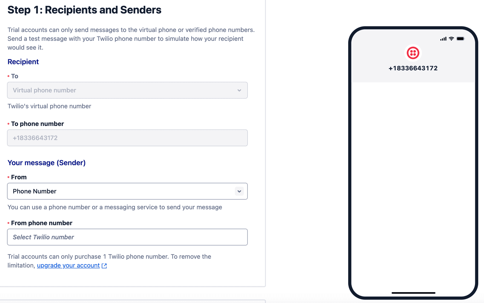 Virtual Phone main screen with Recipients and Senders box.