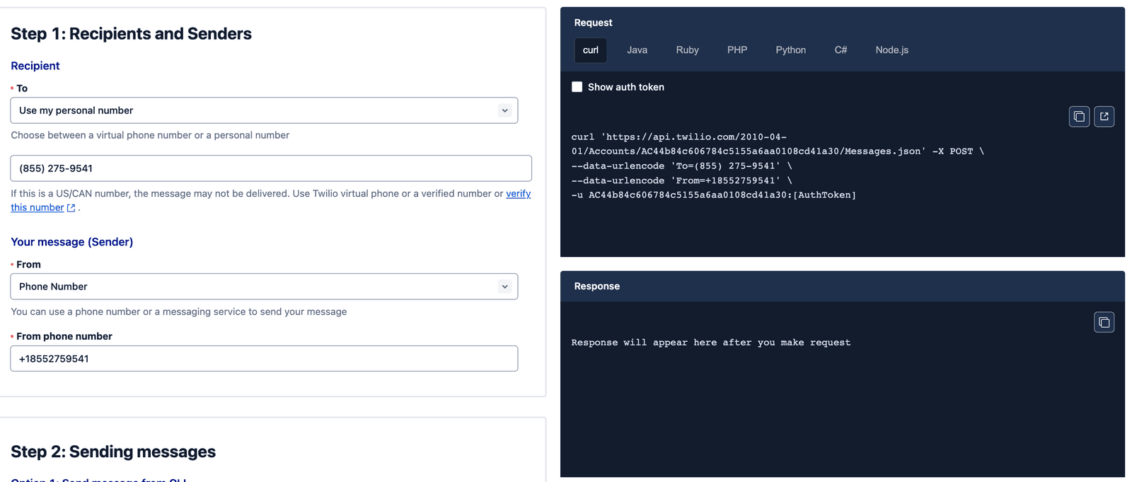 main VPhone screen with API view.