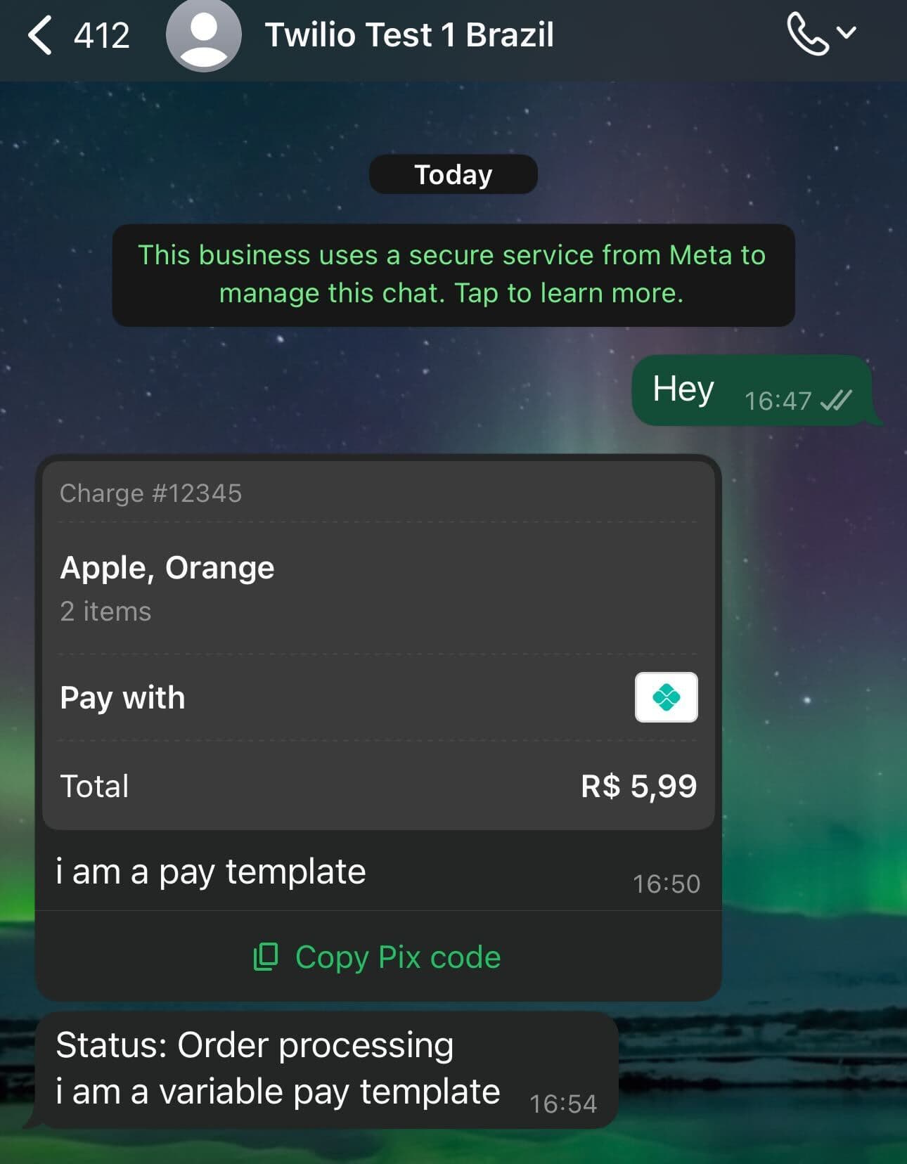 pay content template 2- message preview.