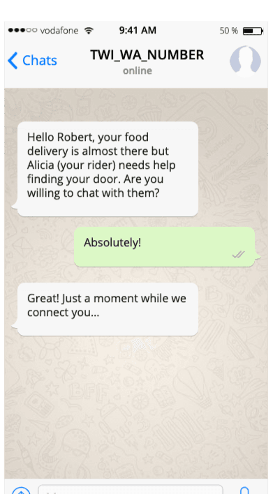 Chat confirming food delivery and connecting customer with rider for assistance.