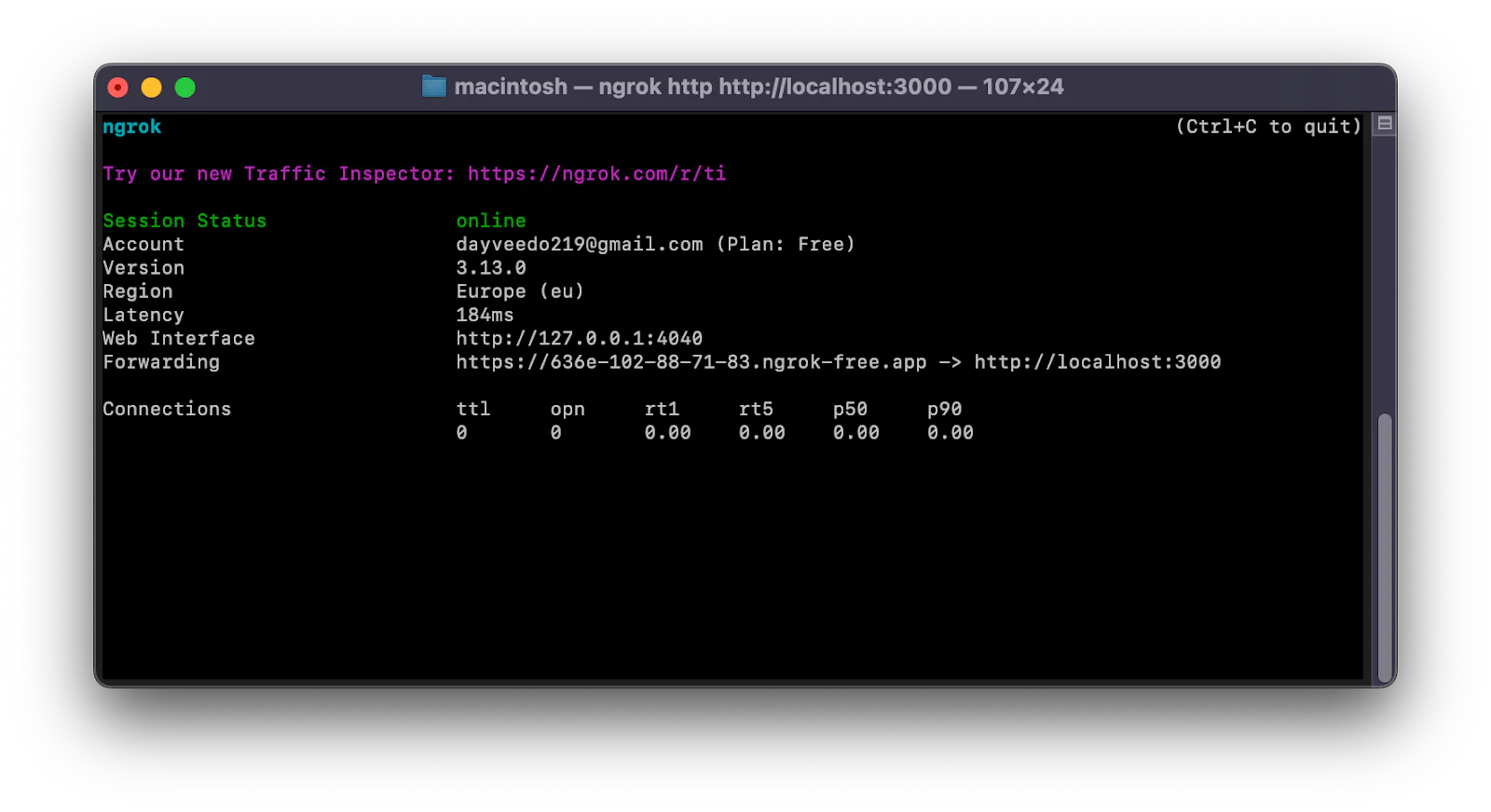 Terminal displaying ngrok session details, status online and email davidezzo@gmail.com, running on macOS. Tunnels the application