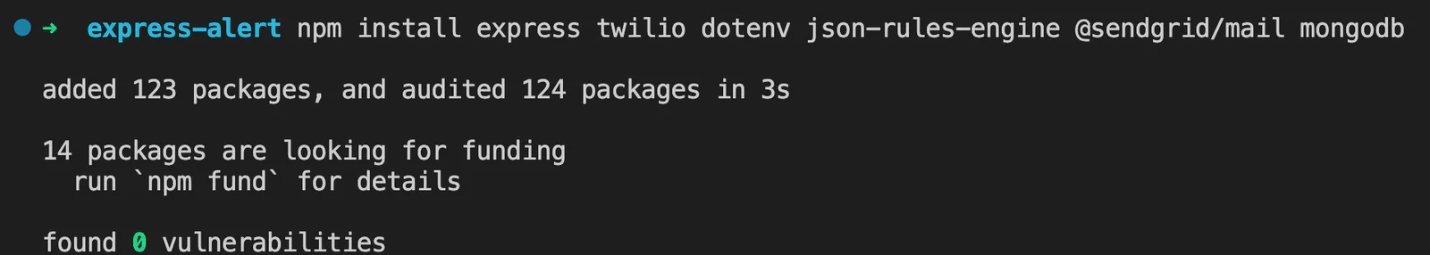 Screenshot displaying npm install command output: Indicates added packages, audited packages, packages seeking funding, and total vulnerabilities detected