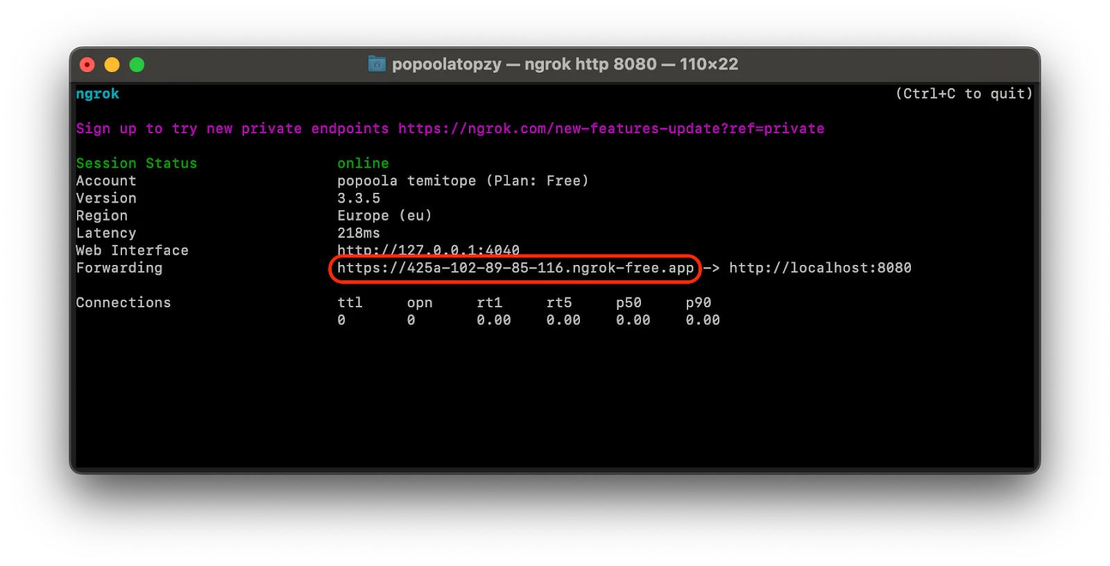 Terminal displaying Ngrok session status with a live HTTP URL and connection details. Terminal displaying Ngrok session status with a live HTTP URL and connection details.
