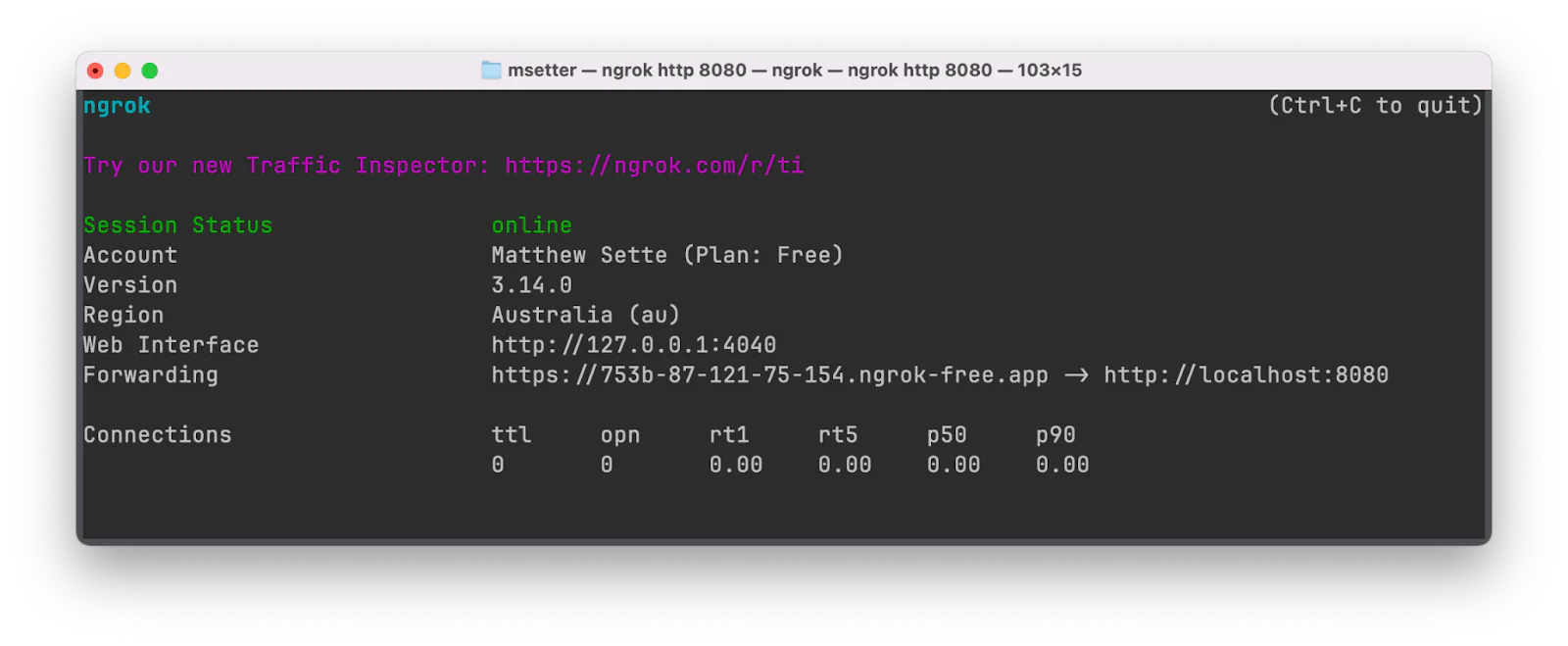 Screenshot of ngrok terminal window showing online session with traffic inspection details. Screenshot of ngrok terminal window showing online session with traffic inspection details.