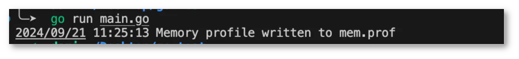 Terminal window showing a Go program run with memory profile saved to mem.prof Terminal window showing a Go program run with memory profile saved to mem.prof