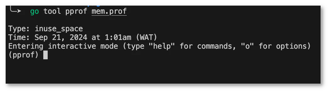 Screenshot of a terminal window using Go's pprof tool to analyze memory profile at 1 Screenshot of a terminal window using Go's pprof tool to analyze memory profile at 1
