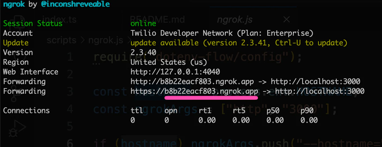 Using ngrok