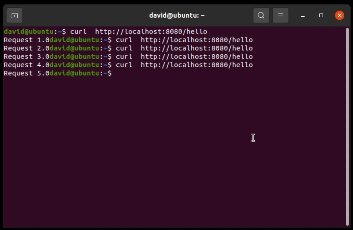 Making requests to the /hello endpoint to test the custom metric