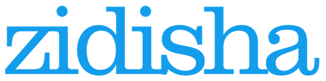 Zidisha_Inc._Logo