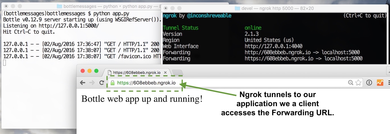 ngrok-works.jpg