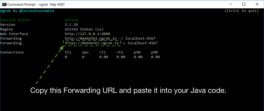 ngrok-java.png