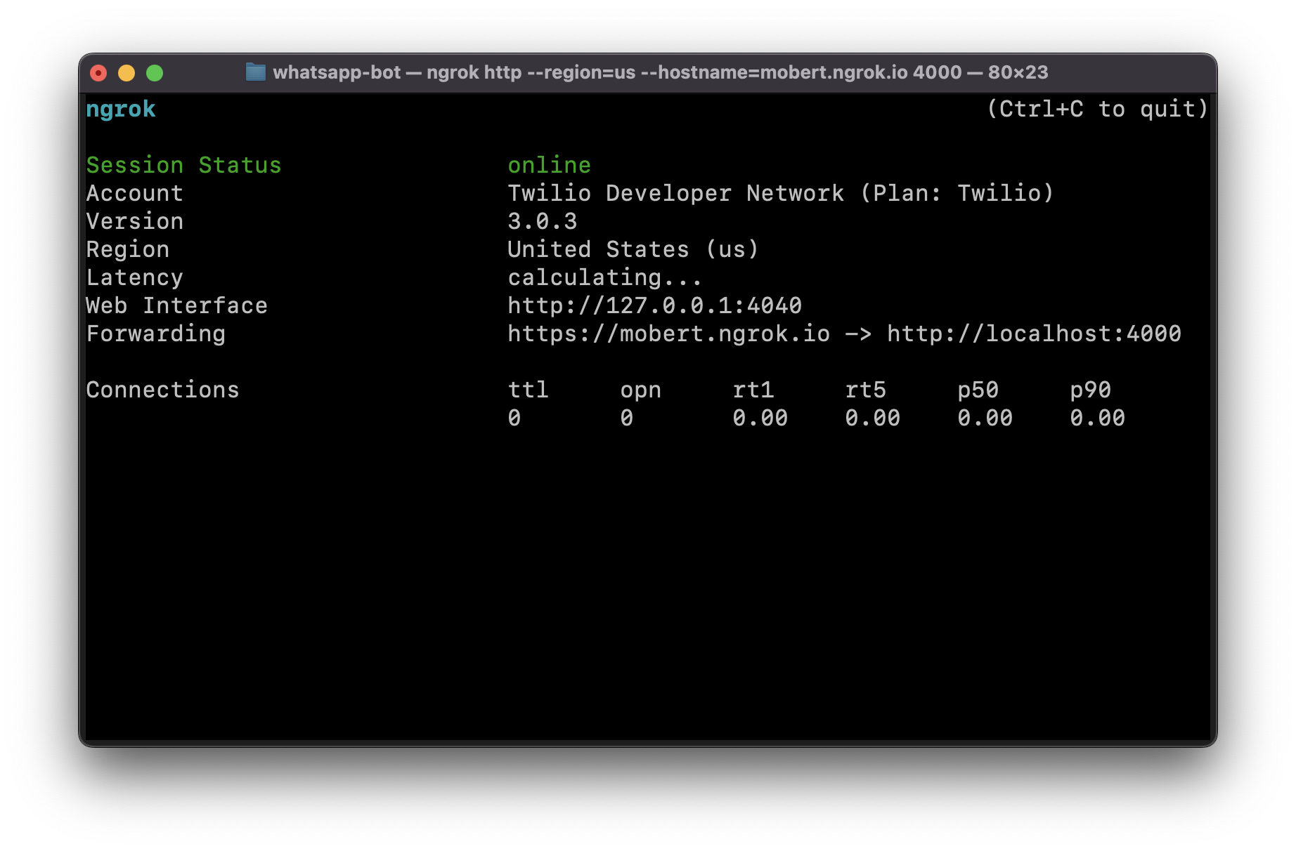 Running ngrok to connect port 4000