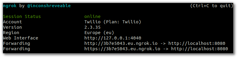 Screenshot of ngrok output highlighting the https forwarding url