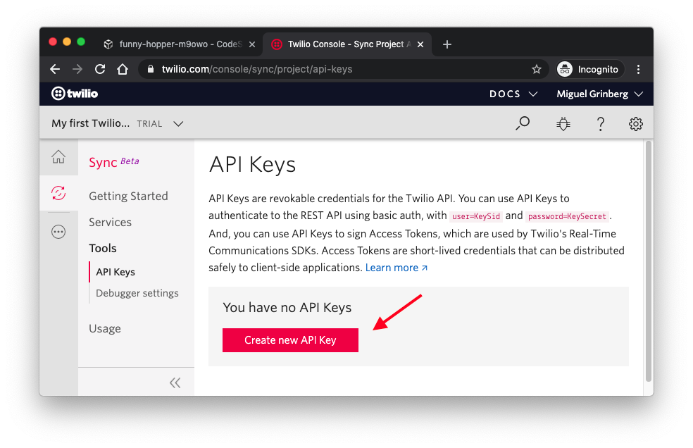 Twilio API keys