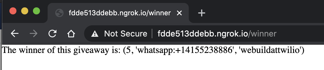 output of the generated winner on the ngrok webpage