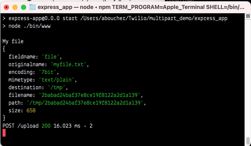 Screenshot showing file object and file title in terminal after posting to express app