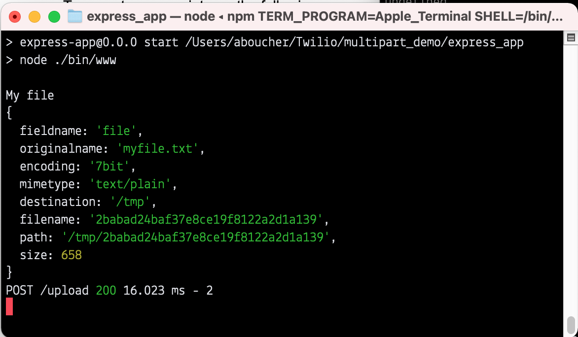 Screenshot showing file object and file title in terminal after posting to express app