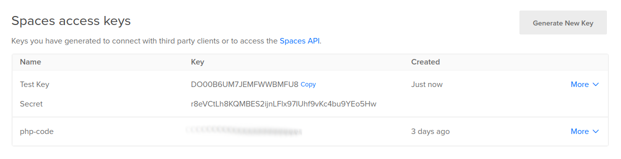 A newly created Spaces access key