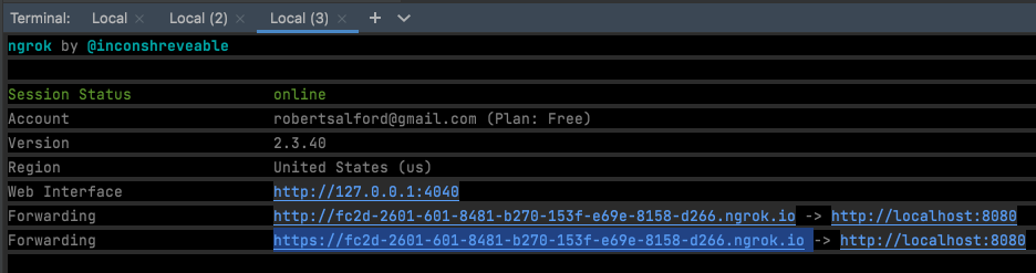 Ngrok output