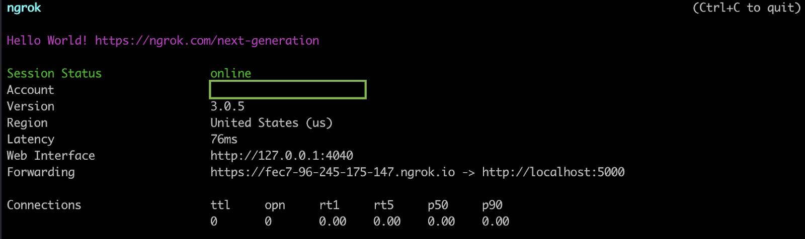 Output logs from ngrok in terminal