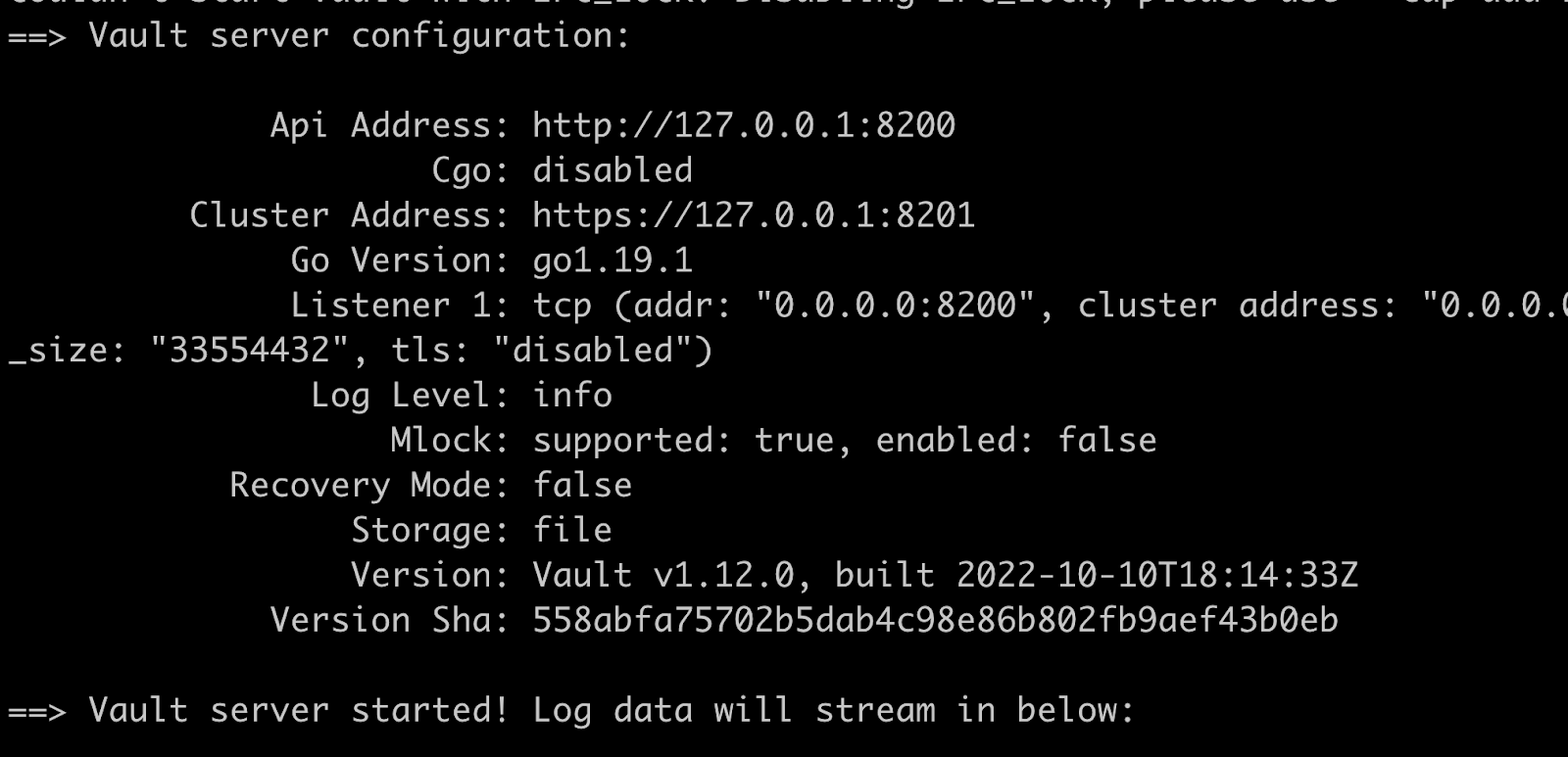 Terminal window showing the Vault has started successfully in server mode