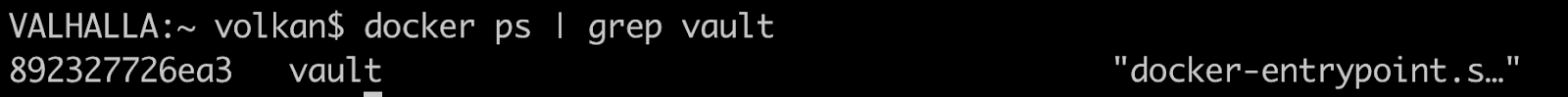 Terminal showing the output of docker ps | grep vault command and the container id as the first value (892327726ea3) on the output line.