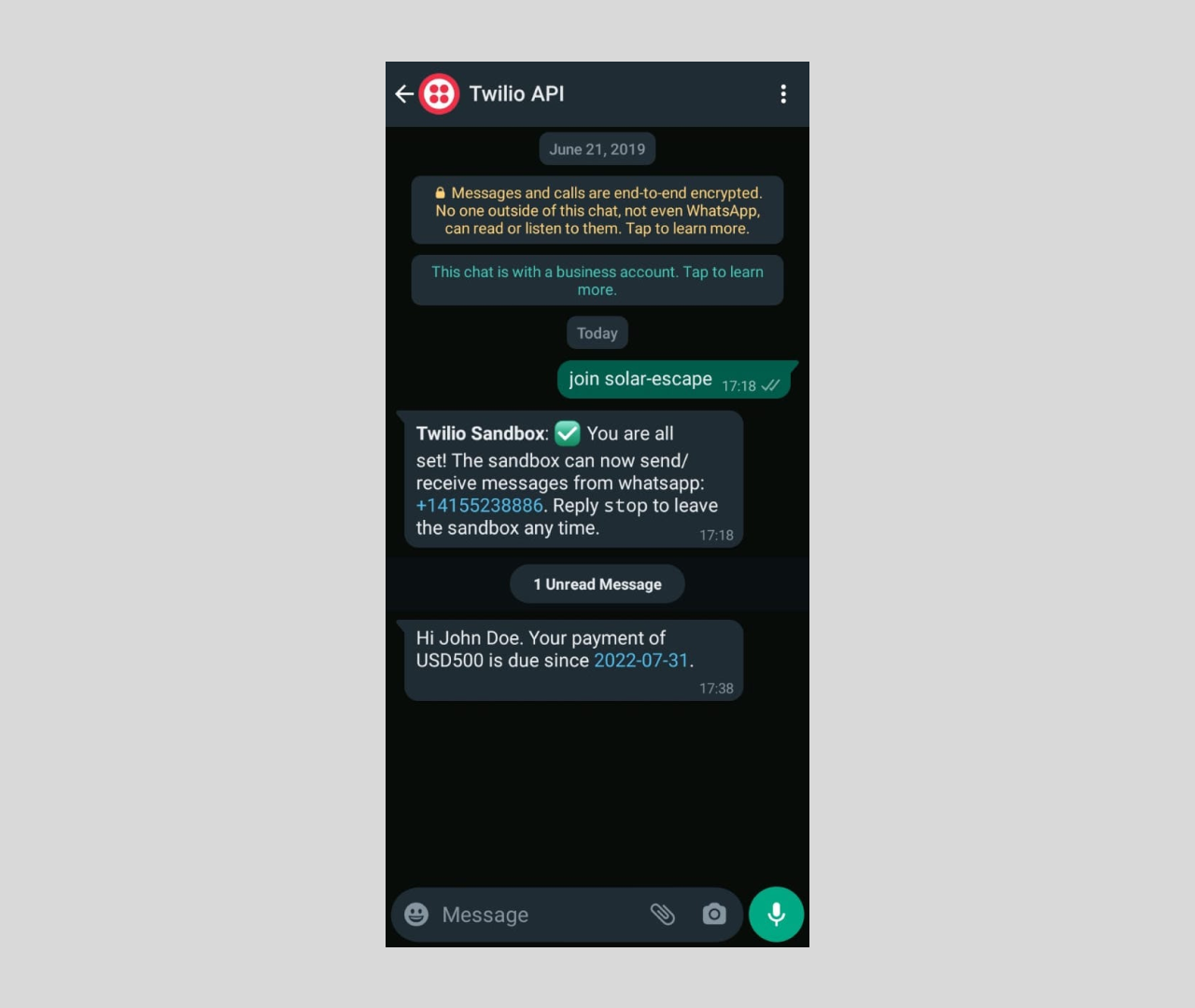 WhatsApp message by Twilio