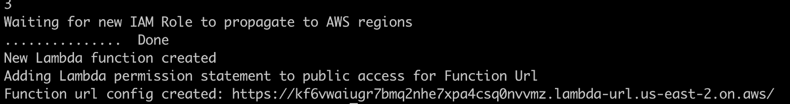 Terminal window showing the output of successful Lambda function creation. It"s showing the public function URL