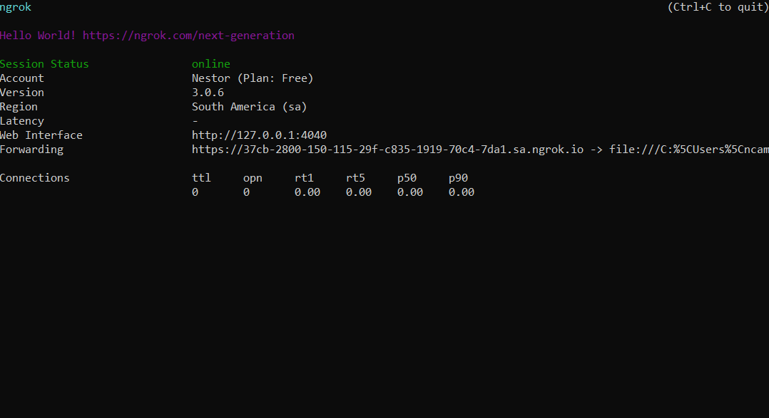 Result of creating an ngrok tunnel in console. The output shows an HTTP and HTTPS Forwarding URL.