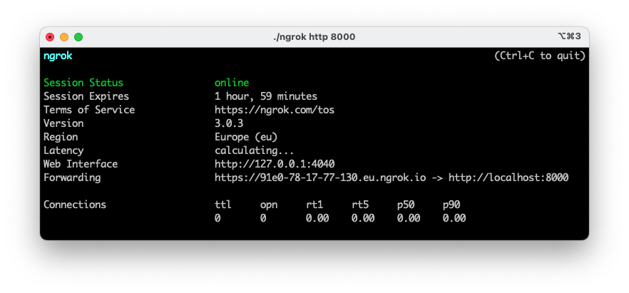 Ngrok output