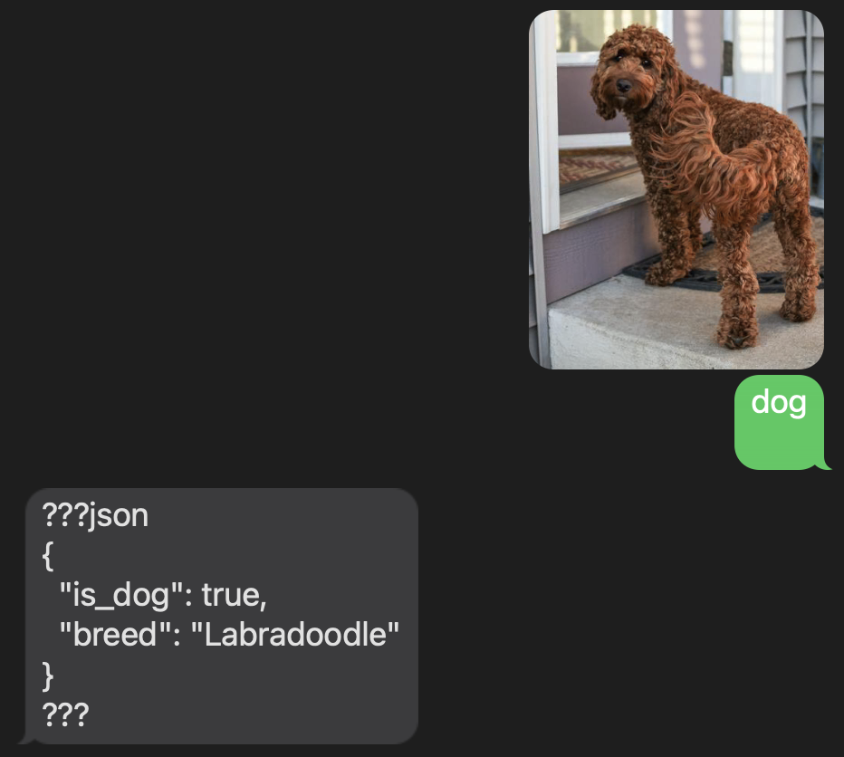 AI responding it sees a Labradoodle