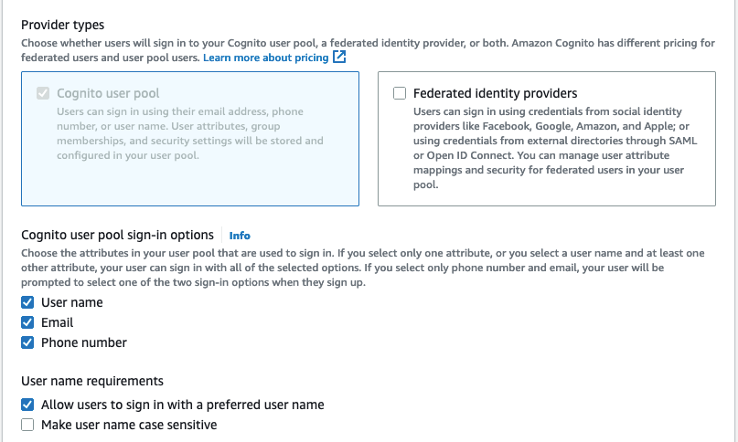 Setting the user pool sign in options.