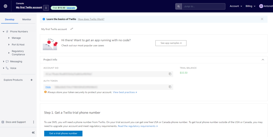 The Twilio console