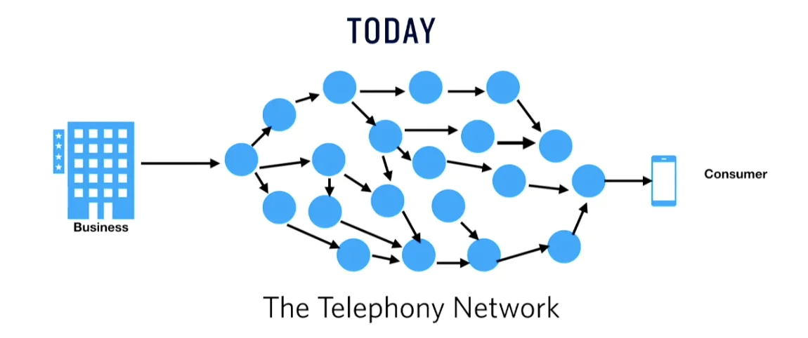 Diagram explaining how the telephony network connects businesses to consumers