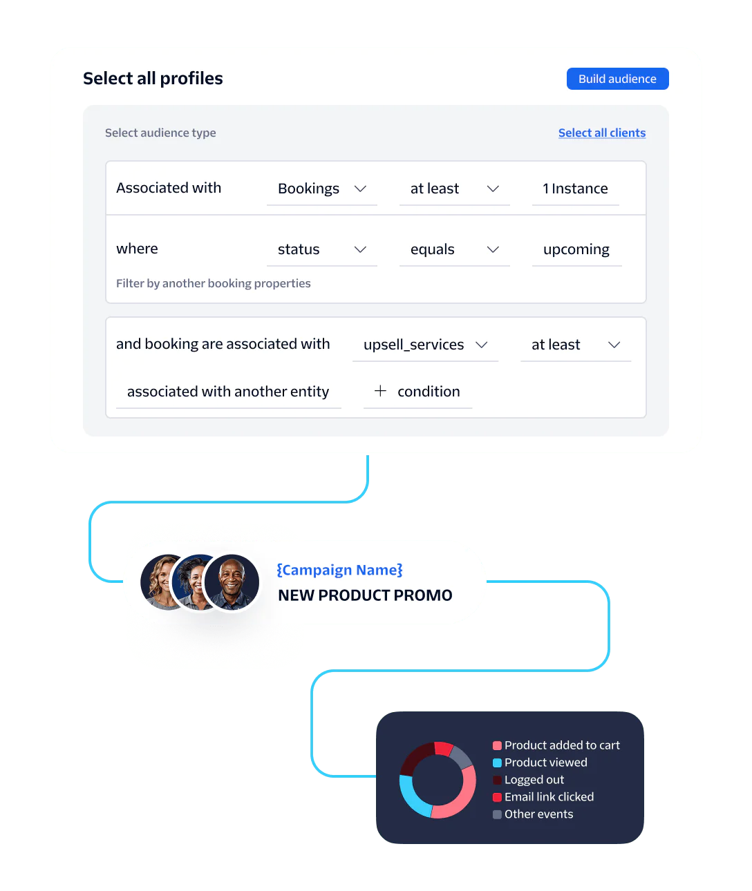 Audience Segmentation and Campaign Promotion Workflow UI interface for audience selection, campaign promotion flowchart, and analytics pie chart