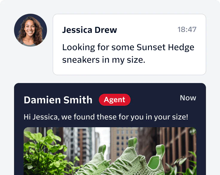 Customer and agent chat about sneaker availability Sales rep messaging a customer through Flex to complete a purchase