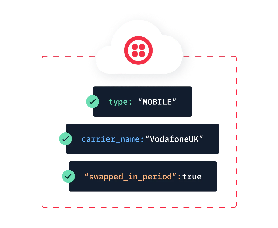 Illustrated cloud with check marks showing type, carrier name, and sim change status for a mobile device.